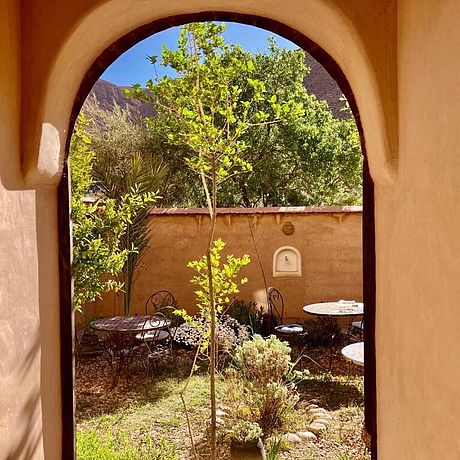 Blick in den Garten