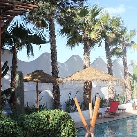 Blick auf Pool und Palmen