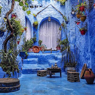 Blaue Gasse Pflanzen Chefchaouen