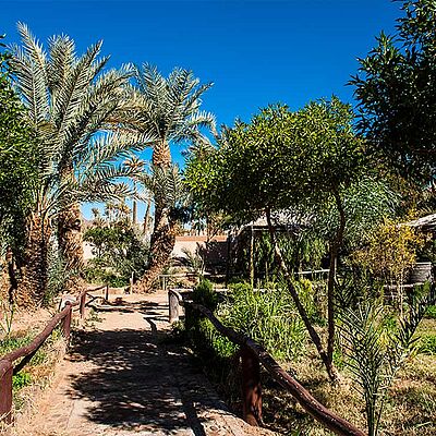 Bungalow und Apartment Bab Rimal Gehweg Baeume