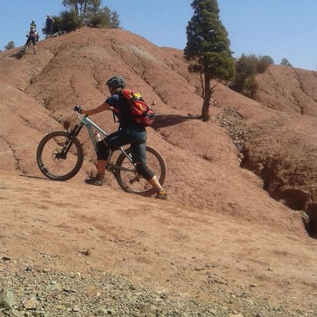 Blick auf ein Gruppe Mountainbiker an einer Steigung