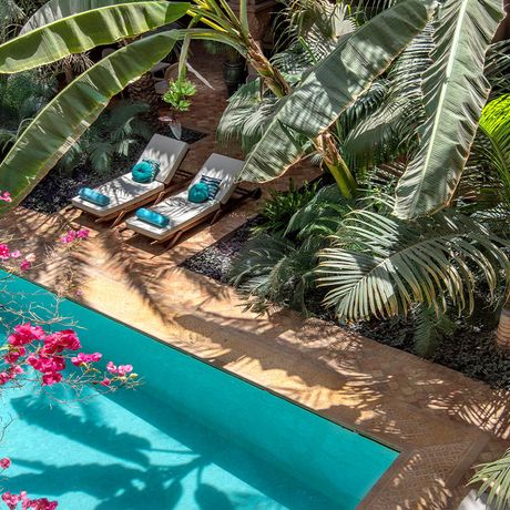 Blick auf zwei Liegen am Pool