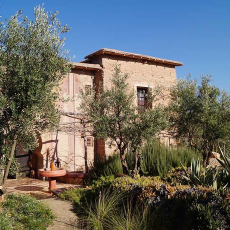 Blick auf den Garten in der Kasbah Timdaf