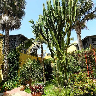 Riad Dar Beldi Garten