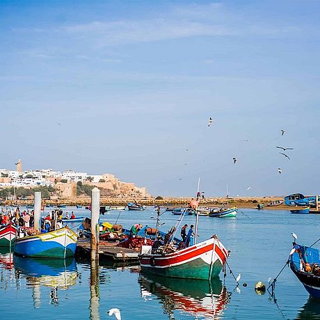 Boote im Fischerreihafen von Rabat