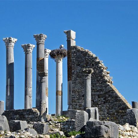 Blick auf Ruinen und Saeulen in Volubilis