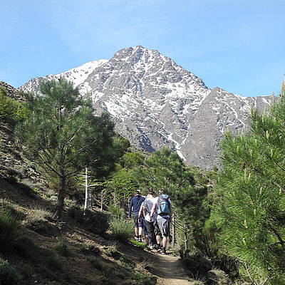 Wandergruppe Pfad Baeume Marokko