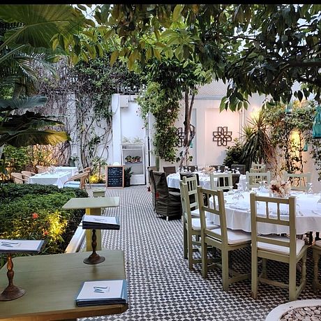 Ansicht begrünter Patio
