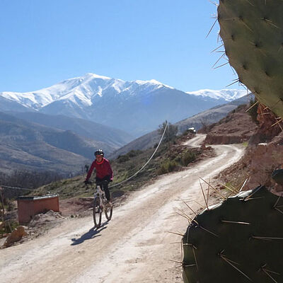 Mountainbikeerin Weg Berge