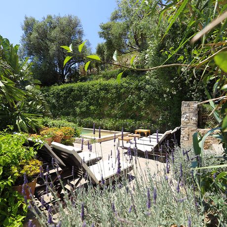 Blick auf den Pool und Garten