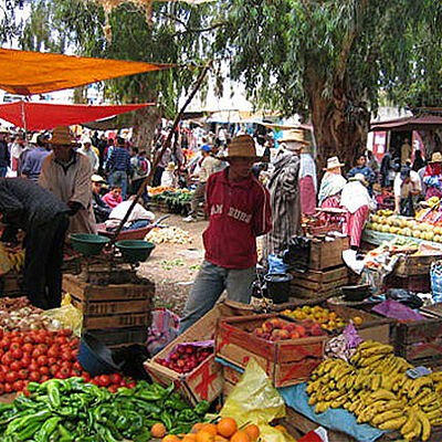 Berbermarkt Rifgebirge Obst Gemuese