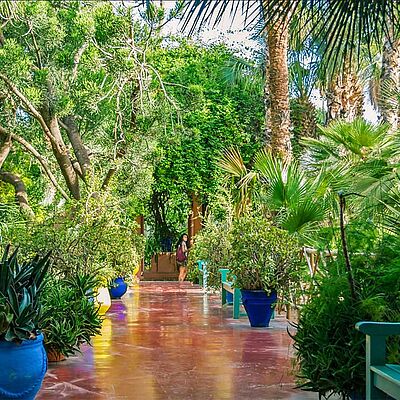Jardin Majorelle Weg Pflanzen